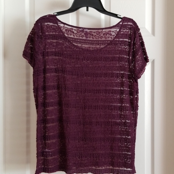 Violet Sheer Lace Top - Picture 3 of 5